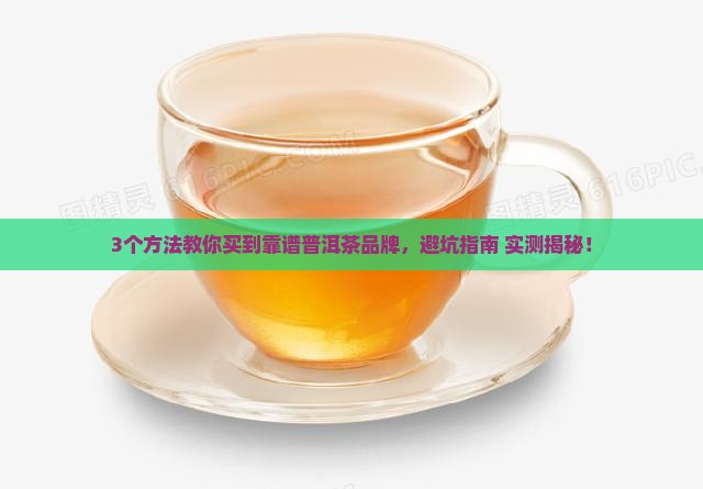 普洱茶哪里能买到好的品牌 普洱茶哪里能买到好的品牌