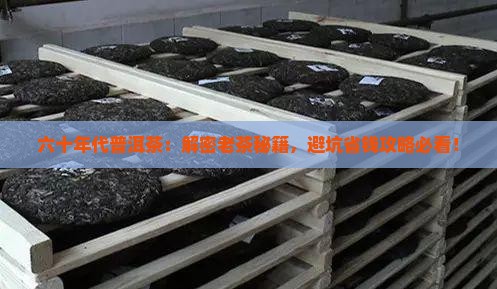 六十年代普洱茶