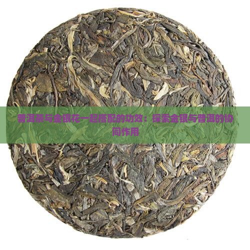 普洱茶搭配金银花