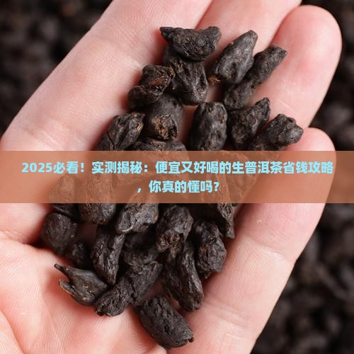 便宜又好喝的生普洱茶