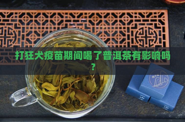 打狂犬疫苗期间喝了普洱茶 打狂犬疫苗期间喝了普洱茶