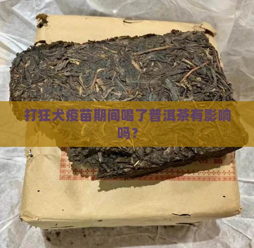 打狂犬疫苗期间喝了普洱茶 打狂犬疫苗期间喝了普洱茶