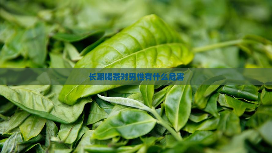 长期喝茶对男性有什么危害