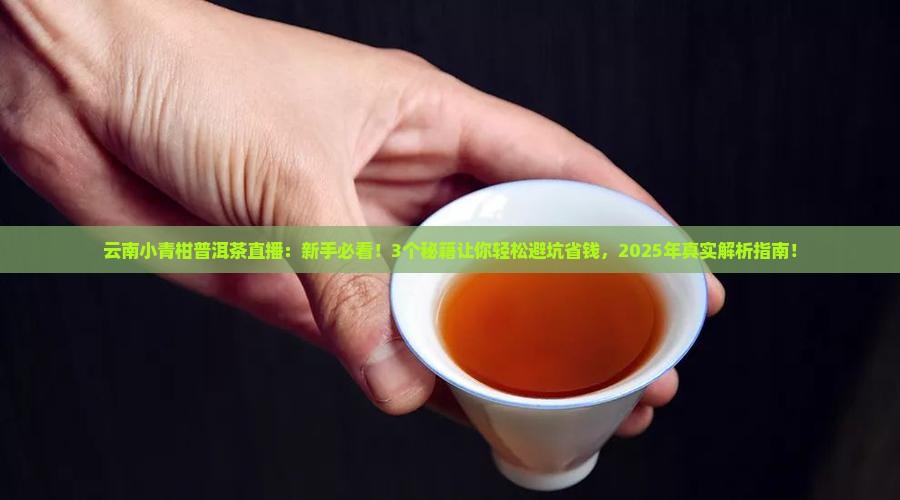 云南小青柑普洱茶直播