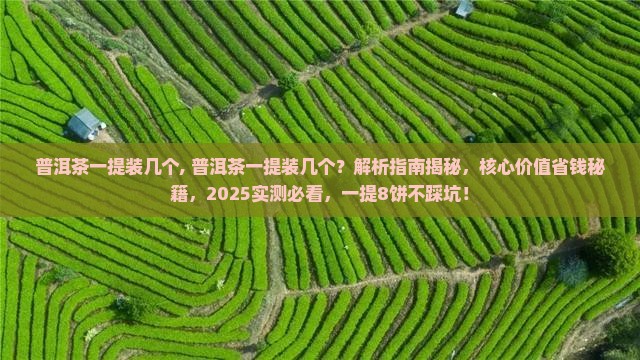 普洱茶一提装几个