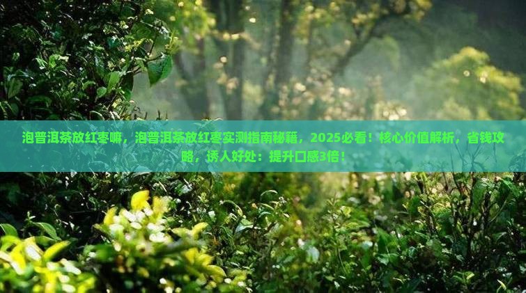 泡普洱茶放红枣嘛