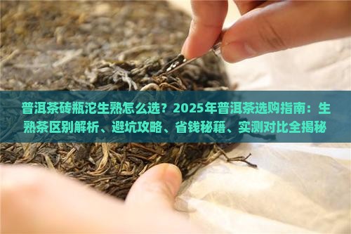 普洱茶砖瓶沱生熟
