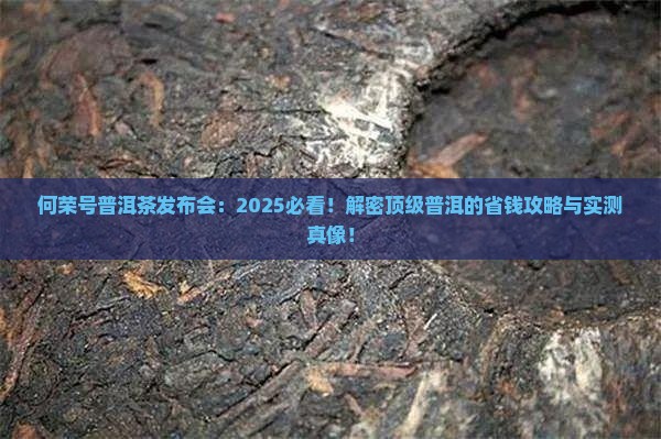 何荣号普洱茶发布会