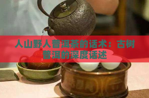 野人山普洱茶的话述