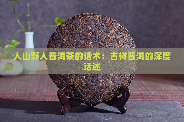野人山普洱茶的话述
