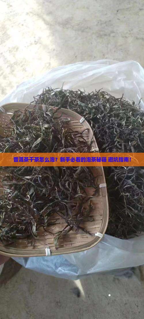普洱茶干茶泡茶步骤