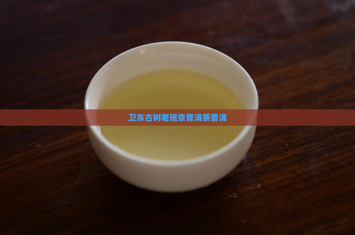 老班章血统卫东古树