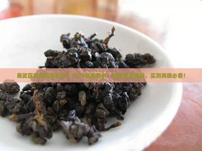 易武区普洱茶怎么样