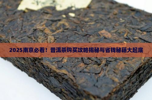 南京有哪里卖普洱茶