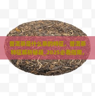 普洱茶是什么茶的特征
