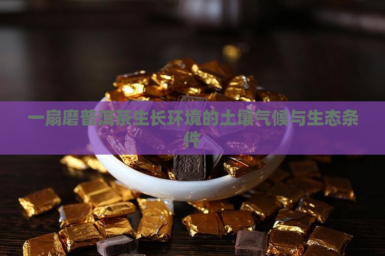 一扇磨普洱茶生长环境
