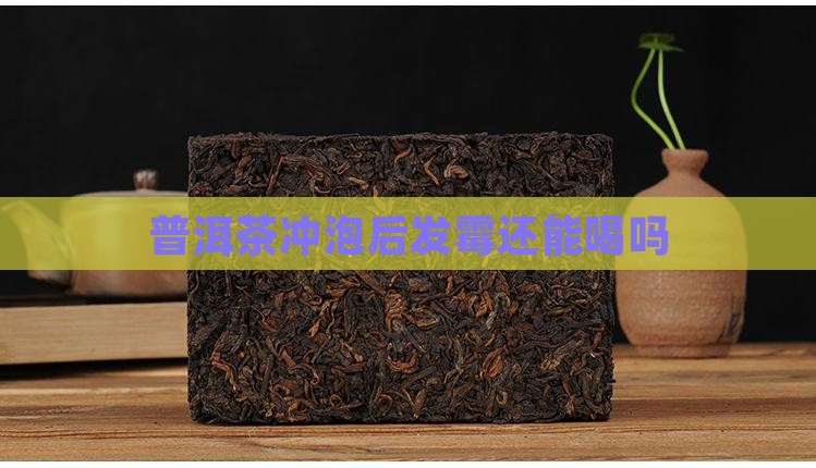 普洱茶冲泡后发霉还能喝吗