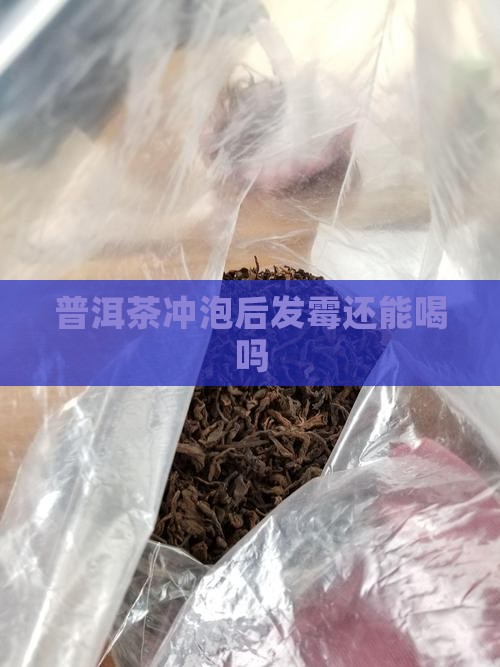 普洱茶冲泡后发霉还能喝吗