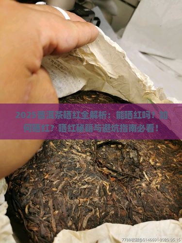 普洱茶能晒红吗