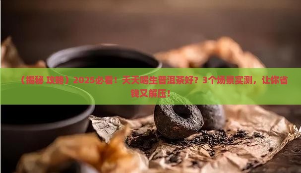 天天喝生普洱茶好