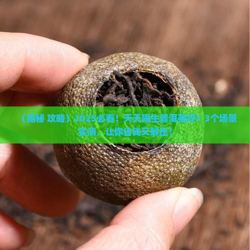 天天喝生普洱茶好