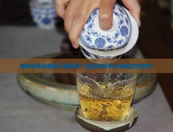 老树陈茶普洱茶