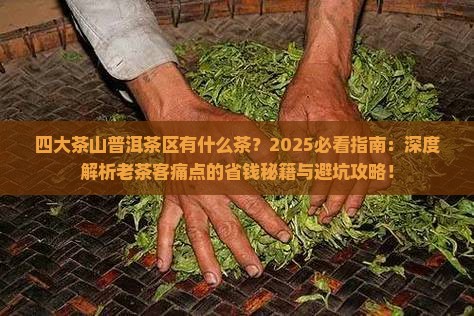 四大茶山普洱茶区有什么茶