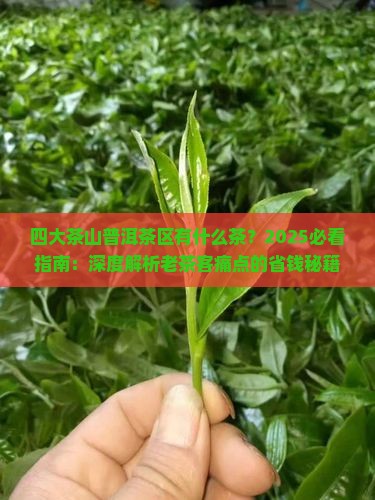 四大茶山普洱茶区有什么茶