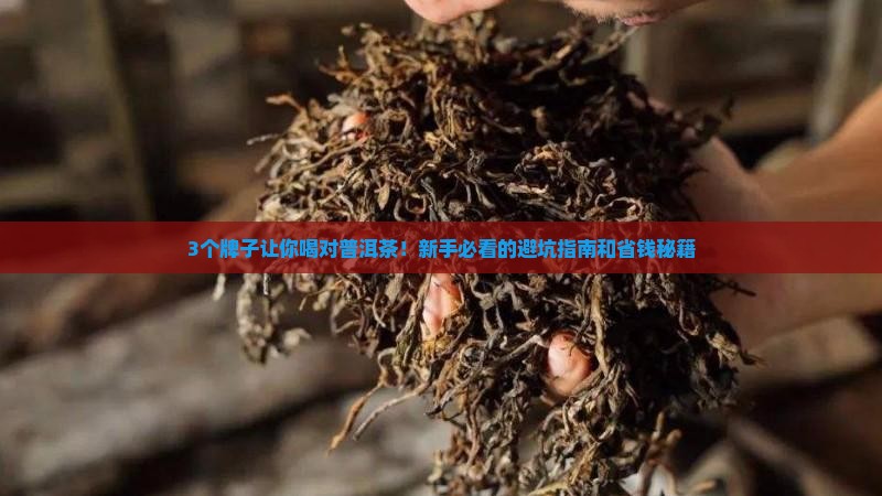 普通普洱茶哪个牌子好 普通普洱茶哪个牌子好