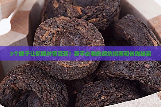 普通普洱茶哪个牌子好 普通普洱茶哪个牌子好