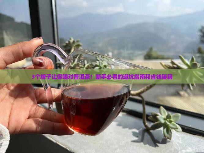 普通普洱茶哪个牌子好 普通普洱茶哪个牌子好