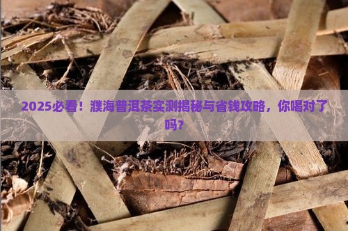 濮海普洱茶怎么样