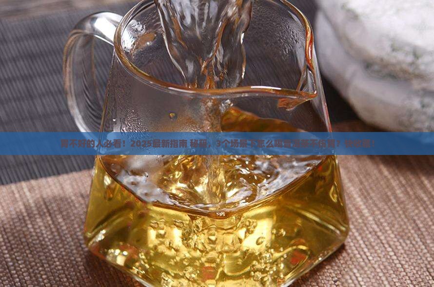 胃不好怎么喝普洱茶