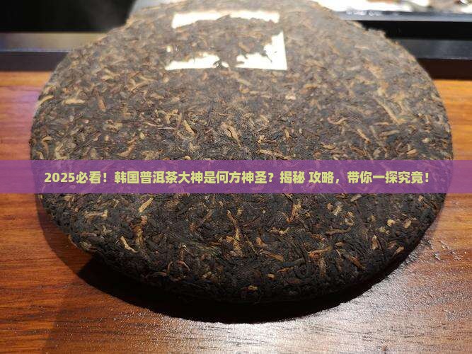 韩国做普洱茶的那个人