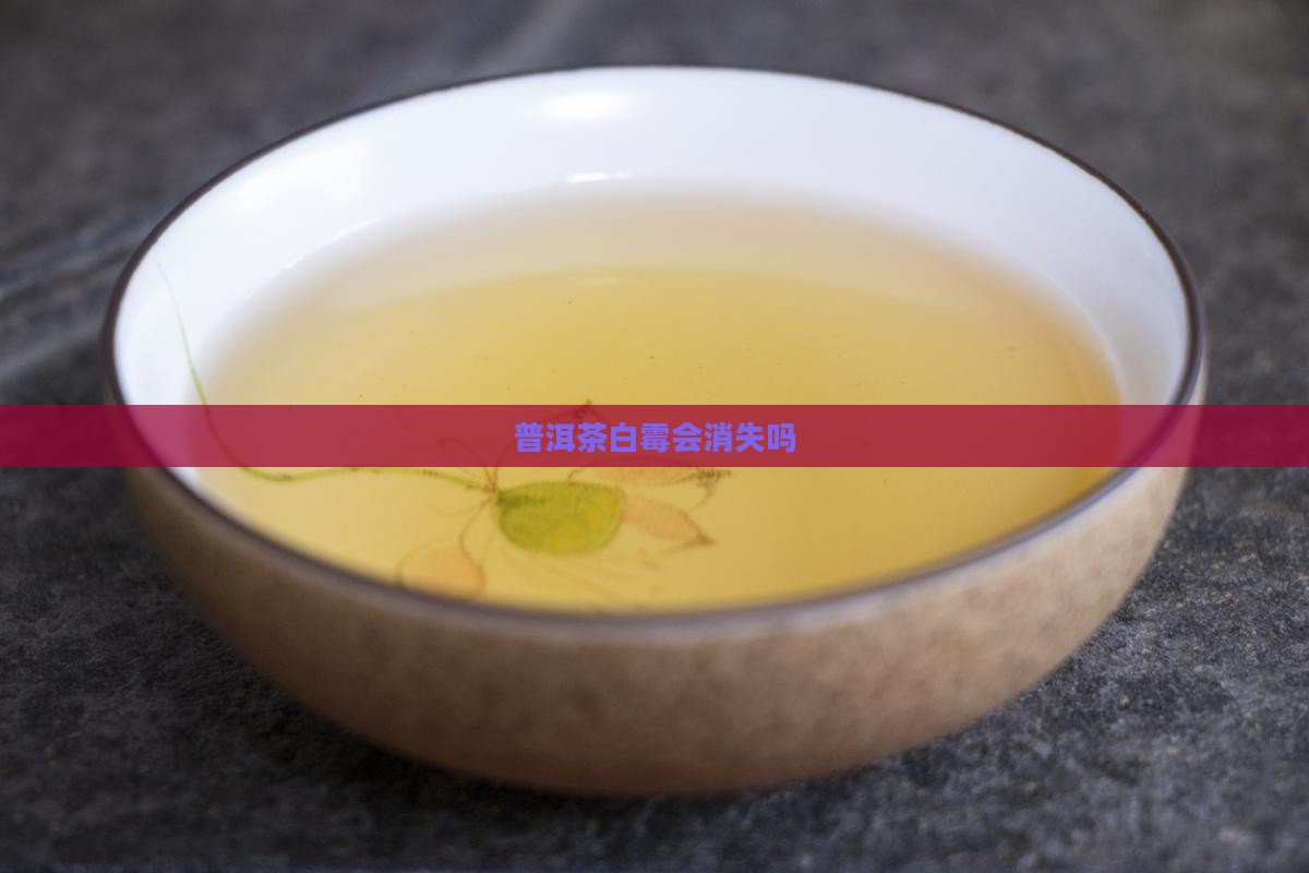普洱茶白霉会消失吗