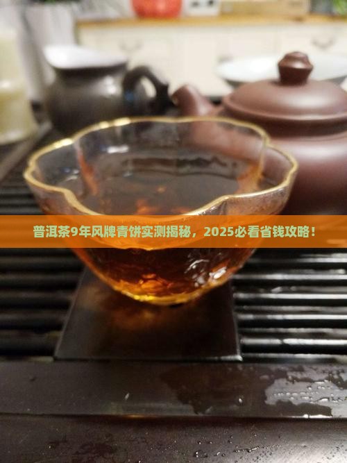 普洱茶9年风牌青饼