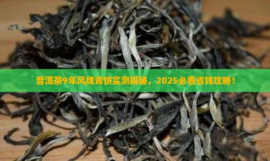 普洱茶9年风牌青饼