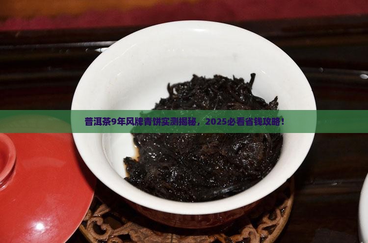 普洱茶9年风牌青饼