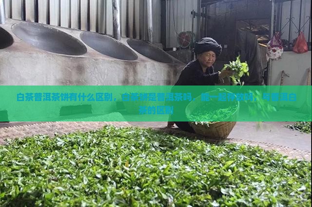 白茶普洱茶饼有什么区别