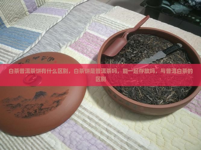 白茶普洱茶饼有什么区别