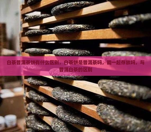 白茶普洱茶饼有什么区别