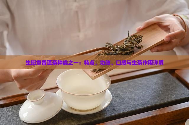 生班章的特点及功效