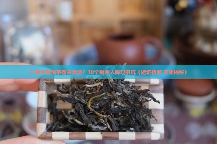 八角亭普洱茶雄关漫道点评