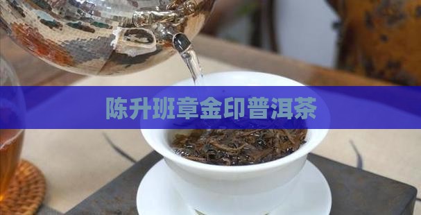 13年陈升金印班章