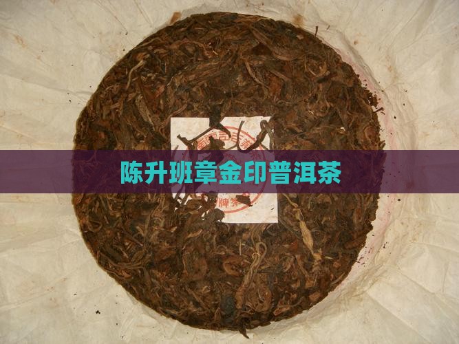 13年陈升金印班章
