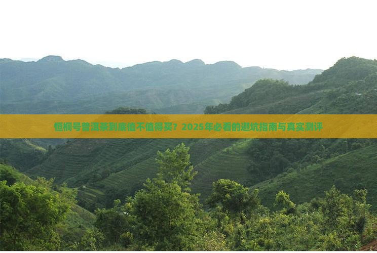 恒桐号普洱茶排名