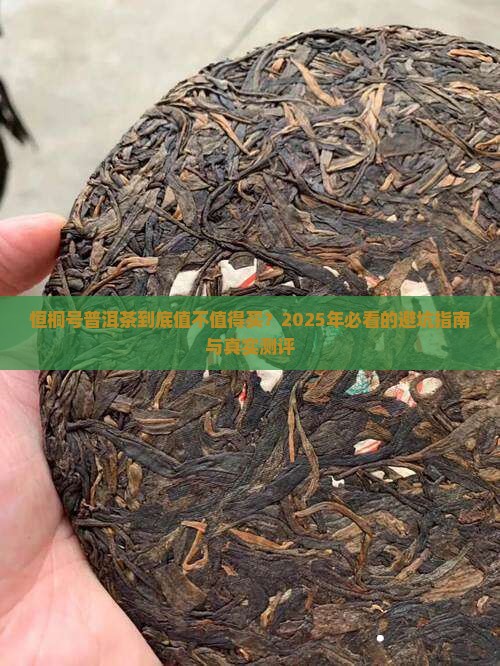 恒桐号普洱茶排名