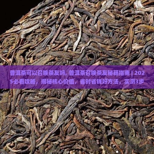 普洱茶可以召唤茶友吗
