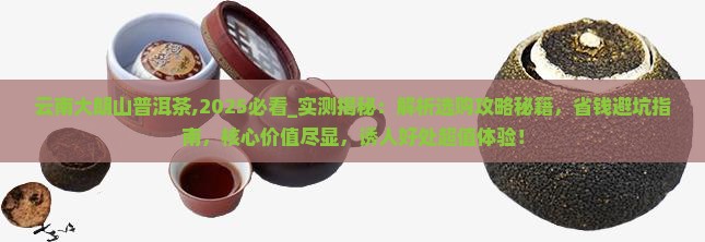 云南大朗山普洱茶
