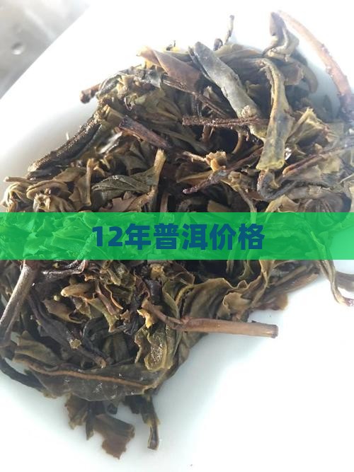 12年普洱价格
